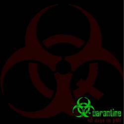 Quarantine (ESP) : 40 Days in Hell